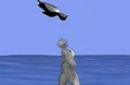 Pinguin meppen 07