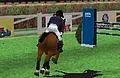 Paard Rijden