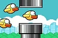 Bird Smasher