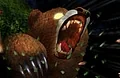 Bear Run 3D