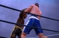 Ultimate Boxing
