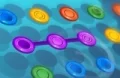 Circles
