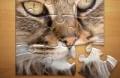 Jigsaw Puzzle Classic